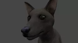 DFOX-006 Rigged Fox 3D model