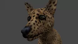 DFOX-007 Rigged Fox 3D model