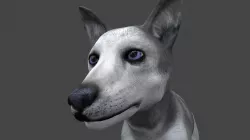 DFOX-012 Rigged Fox 3D model