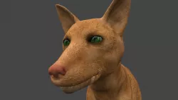 DFOX-014 Rigged Fox 3D model