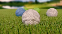 Dirty Realistic Golf Ball with pin and grass  3D model