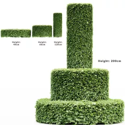 Dwarf Yaupon Holly-Cylinder tree collection 1 Bush in the scene 3D model
