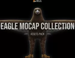 EAGLE MOCAP COLLECTION Low-poly 3D model