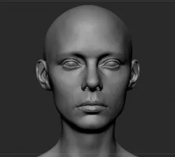 Female Head anatomy v2 3D model