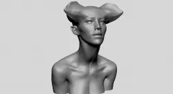 Female Head Neck Form 3D model