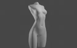 Female torso 3D model