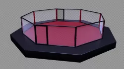 Fighting octagon arena 3D model