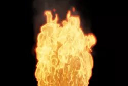 Fire Bonfire Flame 3D model