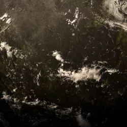 Forest Planet 3D model