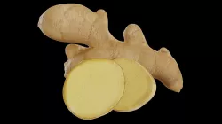 Ginger 3D model