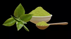Green tea leaf and powder- read before you purchase 3D model