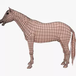 horse base mesh 3D model