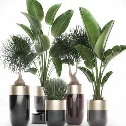 Houseplants in a luxury pot for the interior 707 3D model
