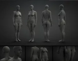 human 3D model