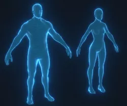 Human Hologram Male and Female 3D Model Low-poly 3D model