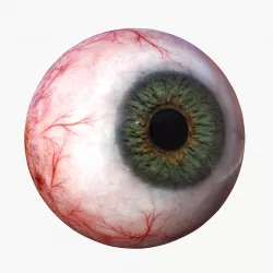 Just an eye Low-poly 3D model