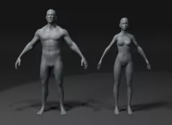 Male and Female Body Base Mesh 3D Model 20k Polygons Low-poly 3D model