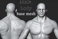 Male body base mesh with gums Low-poly 3D model