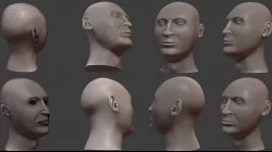 Male Head Base Mesh 3D model