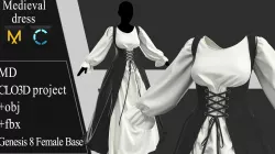 Medieval dress Marvelous Designer project 3D model