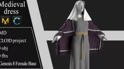 Medieval dress Marvelous Designer project 3D model