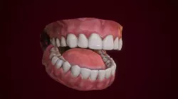 Mouth Teeth for Game Character Low-poly 3D model
