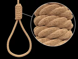 Noose 3D model