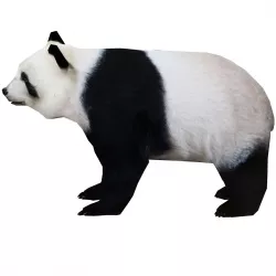 Panda 3D Model - Game Ready   Low-poly 3D model