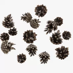Pine Cone Set 3D model