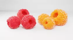 Raspberry  3D model