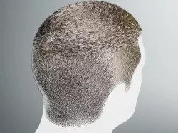Realtime Male Hair - Short Haircut Low-poly 3D model