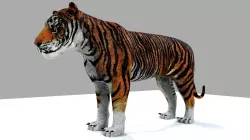 Royel Bengal Tiger 3D model