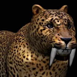 Sabertooth tiger Low-poly 3D model