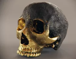 skull of hell 3D model