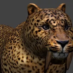 Smilodon Sabertooth tiger Low-poly 3D model