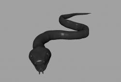 Snake 3d 3D model