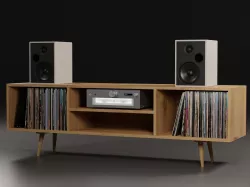 Storage No1 with Vinyls 3D model