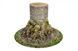 Tree Trunk 3D model