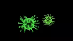 Virus 3D model