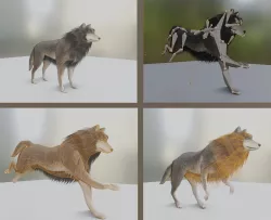 Wolf Rigged Low-poly and Game-Ready Blender-29 Version Low-poly 3D model