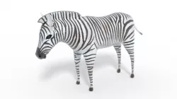Zebra 3D Model Low-poly 3D model
