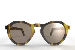 anatomically correct sunglasses 3D model