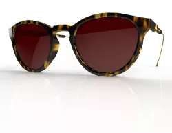 anatomically correct sunglasses 3D model