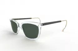 anatomically correct sunglasses 3D model