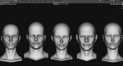 Anatomy Reference Low-poly 3D model