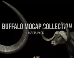 Buffalo Mocap Collection Low-poly 3D model