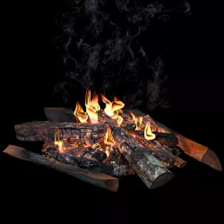 campfire 3D model