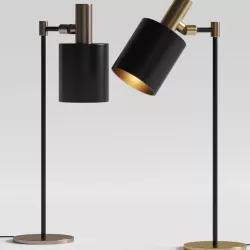 Capital Collection Musa B Table Lamp 3D model