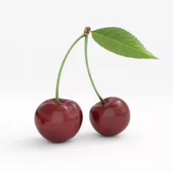 Cherry 3D model