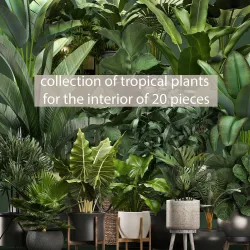 Collection of potted plants for the interior of 20 pieces NEW 3D model